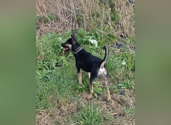 Otto ❤️ so freundlich und verträglich!