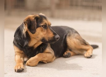 Wundervolle Aylini sucht eine Familie
