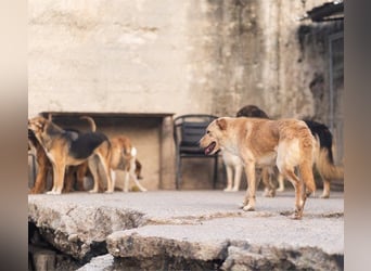 Bob wartet sehnsüchtig auf deine Anfrage