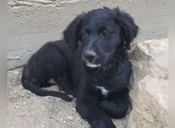 Mila ❤️ so süßes + lebensfrohes Mädchen!