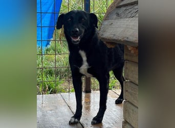 PINA❤️liebe, soziale Schönheit mit Charakter