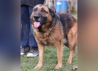Einzelprinzessin Edna ❤️ sucht ihr Körbchen