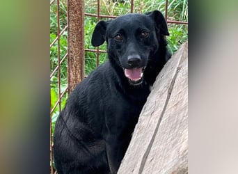 PINA❤️liebe, soziale Schönheit mit Charakter