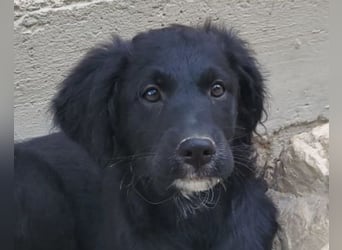 Mila ❤️ so süßes + lebensfrohes Mädchen!