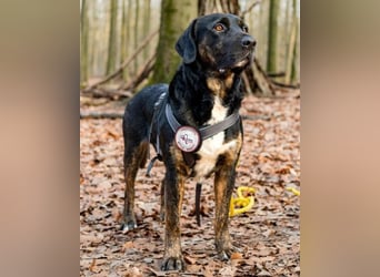 Leo ❤️ wartet in 84524 Neuötting auf dich