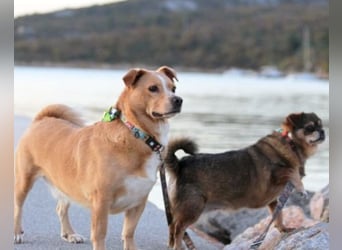 Kika & Max ❤️ gemeinsames Zuhause gesucht