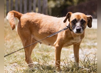 Liebste ♥Senka♥ mit einem großen Herzen