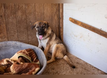 COCO❤️verspielt, sanft und voller Vertrauen: ein Herz für Groß und Klein!