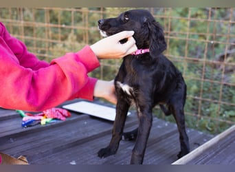 Mila ❤️ so süßes + lebensfrohes Mädchen!