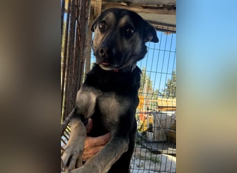 Otto ❤️ so freundlich und verträglich!