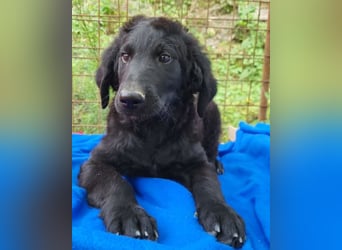 Yuki ❤️ froher, aufgeschlossener Bub!