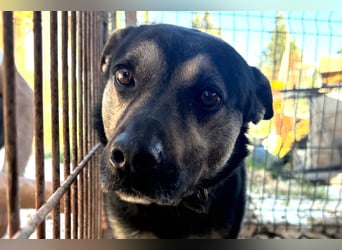 Otto ❤️ so freundlich und verträglich!