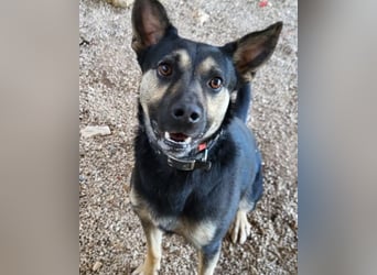 Otto ❤️ so freundlich und verträglich!