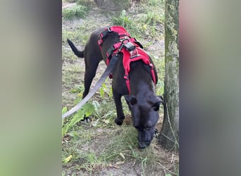 Paula ❤️ wartet in 21493 Schwarzenbek auf deinen Besuch!