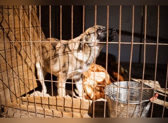 COCO❤️verspielt, sanft und voller Vertrauen: ein Herz für Groß und Klein!