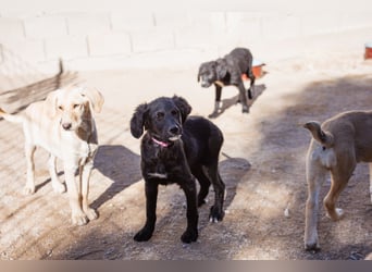 Mila ❤️ so süßes + lebensfrohes Mädchen!