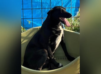 PINA❤️liebe, soziale Schönheit mit Charakter