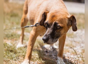 Liebste ♥Senka♥ mit einem großen Herzen