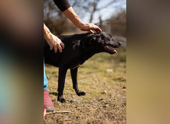 Coolio - wunderbar fröhlicher aktiver Bub