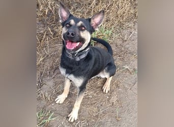 Otto ❤️ so freundlich und verträglich!