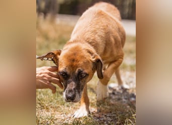 Liebste ♥Senka♥ mit einem großen Herzen