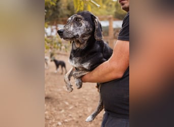 GINA❤️fröhliche, liebevolle und verspielte Flitzpiepe