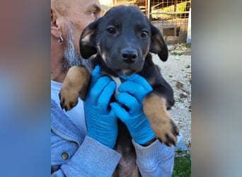 Jonas ❤️ fröhlicher + lebensfroher Schatz!