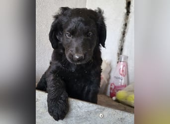 Yuki ❤️ froher, aufgeschlossener Bub!