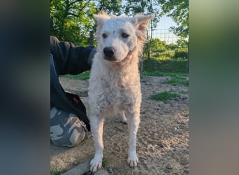 Sensible Jody ♥️ sucht Liebe & Verständnis