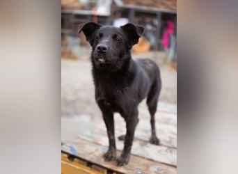 Loris ❤️ verspielter, aktiver + so lieber Jungrüde