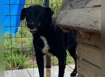 PINA❤️liebe, soziale Schönheit mit Charakter