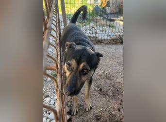 Otto ❤️ so freundlich und verträglich!