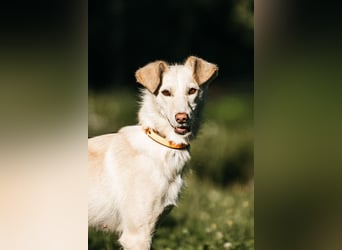Ruhige Astrid sucht ihre Menschen