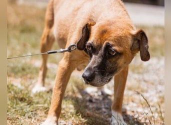 Liebe Senka mit einem großen Herzen
