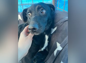 PINA❤️liebe, soziale Schönheit mit Charakter