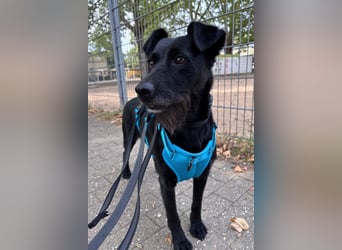 Ebony ❤️ wartet in 51469 Bergisch Gladbach auf dich
