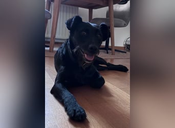 Ebony ❤️ wartet in 51469 Bergisch Gladbach auf dich