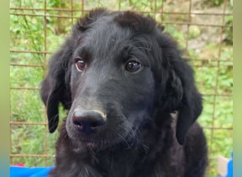 Yuki ❤️ froher, aufgeschlossener Bub!