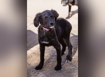 Mila ❤️ so süßes + lebensfrohes Mädchen!