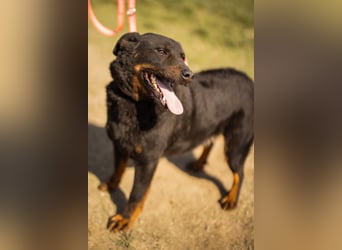 Aktiver Ares sucht seine aktiven Menschen