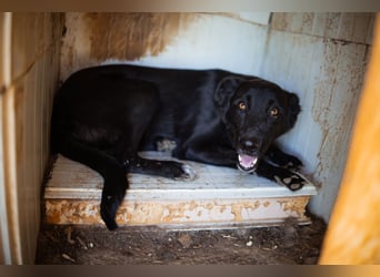 GARA❤️ruhige, sanfte und menschenbezogene Kuschelperle