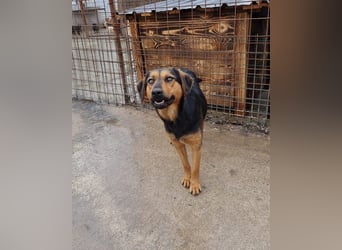 Wundervolle Aylini sucht eine Familie