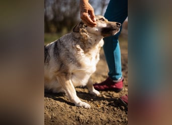 Schöne ♥Sibilla♥ sanft und freundlich