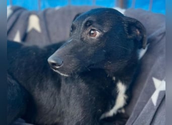 PINA❤️liebe, soziale Schönheit mit Charakter