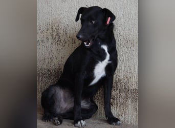 PINA❤️liebe, soziale Schönheit mit Charakter