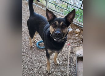 Otto ❤️ so freundlich und verträglich!