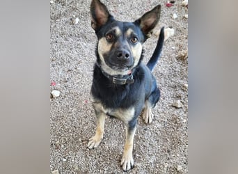 Otto ❤️ so freundlich und verträglich!