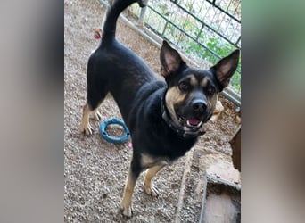 Otto ❤️ so freundlich und verträglich!