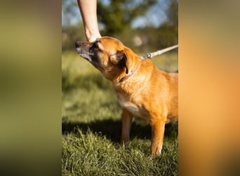 Liebste ♥Senka♥ mit einem großen Herzen