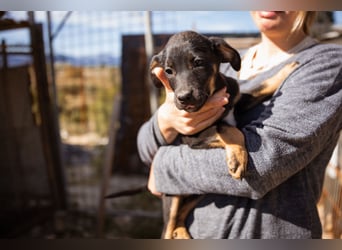 Jonas ❤️ fröhlicher + lebensfroher Schatz!